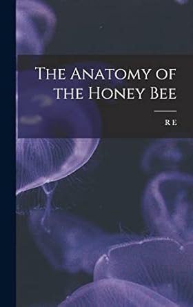 Anatomy of the Honey Bee