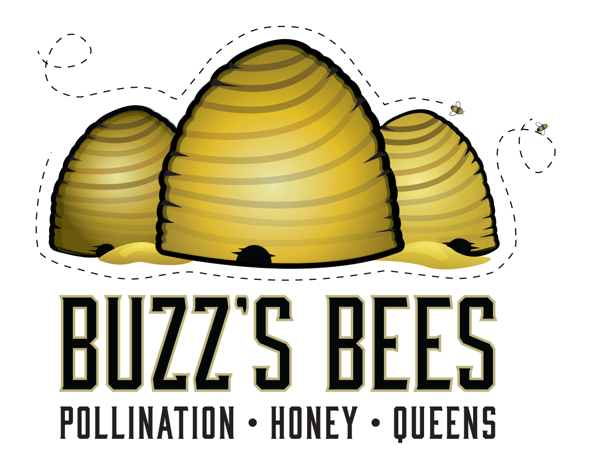 Buzz's Bees