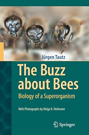 The Buzz About Bees